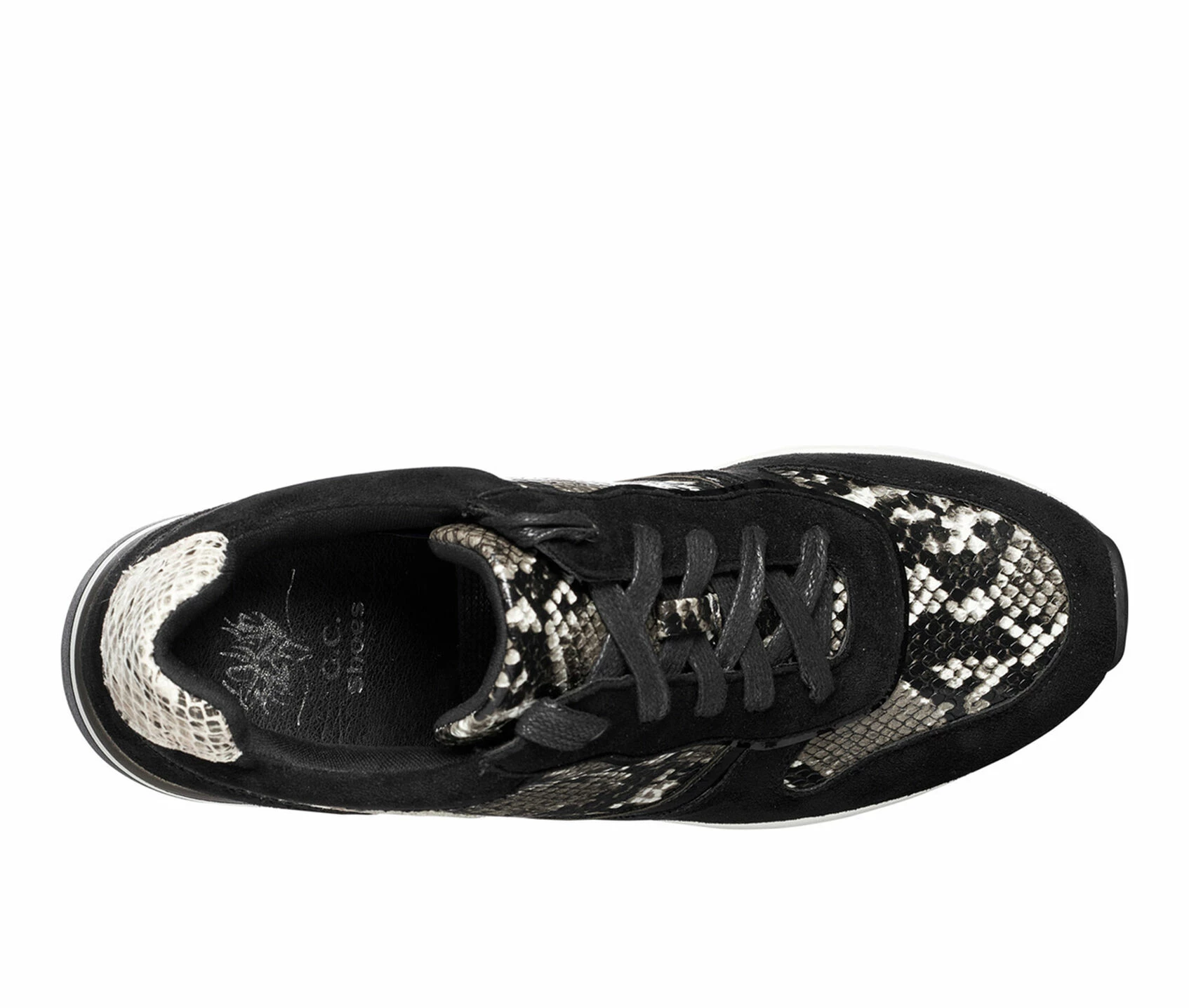 Women's GC Shoes Canali Wedge Sneakers 4 Women's GC Shoes Canali Wedge Sneakers - Image 4