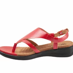 Women's Softwalk Temara Sandals 9 Women's Softwalk Temara Sandals -Shoe Sales Shop 114164 235063 3